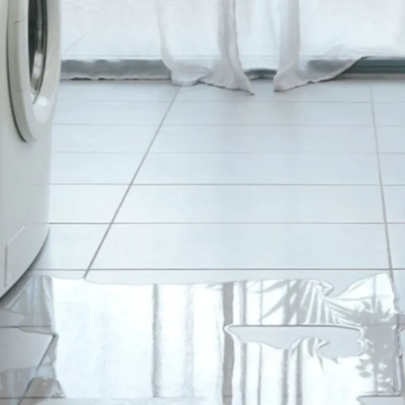Appliance Leak Cleanup in Liberty Lake, WA